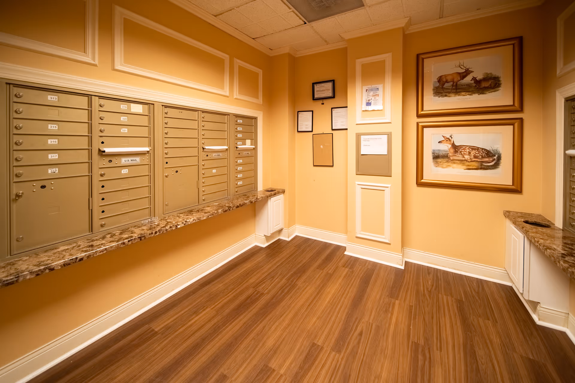 Mailroom with wall-mounted metal mailboxes above a marble ledge, wood flooring, and framed wildlife prints on warm-colored walls.
