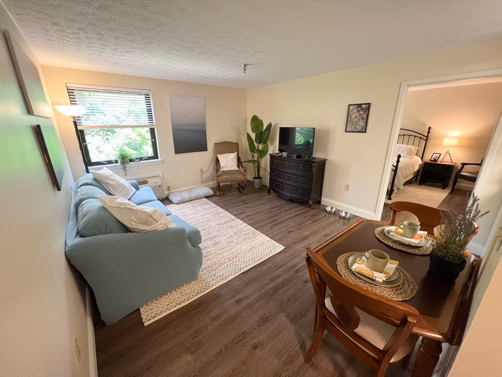 Bright furnished living room and small dining area in a senior living apartment with a sofa, rug, TV on a dresser, dining table, and a view into the bedroom.