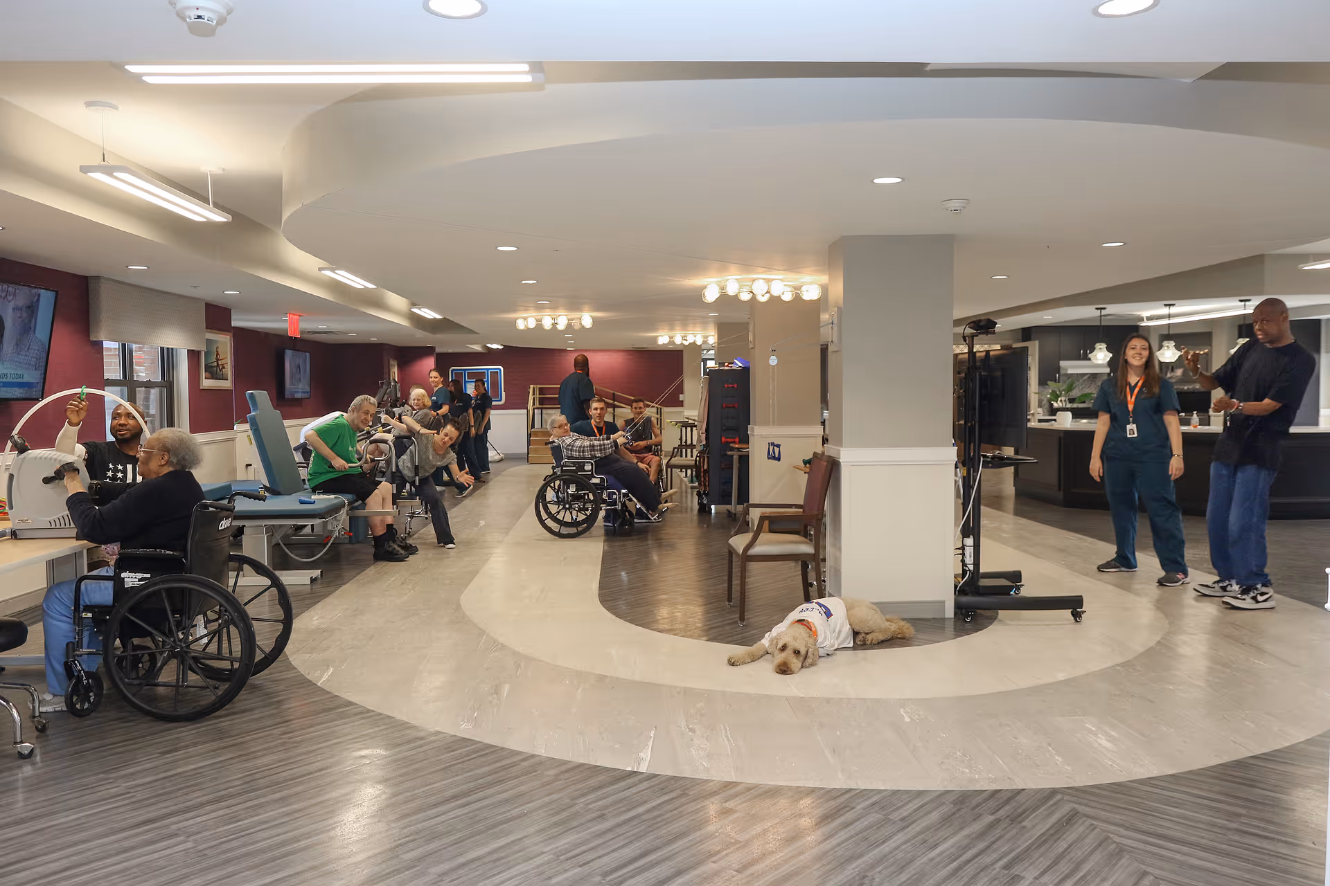 Communal activity room in a senior living facility with residents and staff using exercise equipment and wheelchairs, and a therapy dog lying on the floor.