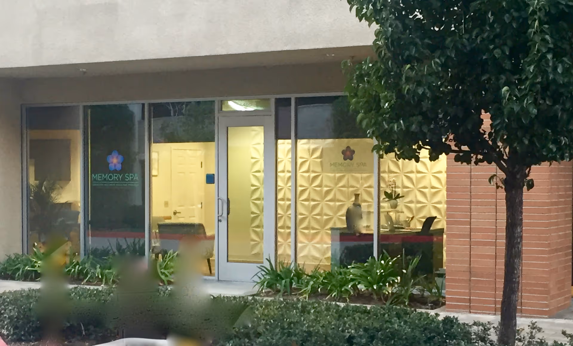 Street-level storefront of The Memory Spa with glass windows and entrance showing a reception area, decorative wall panels, landscaping and a tree.
