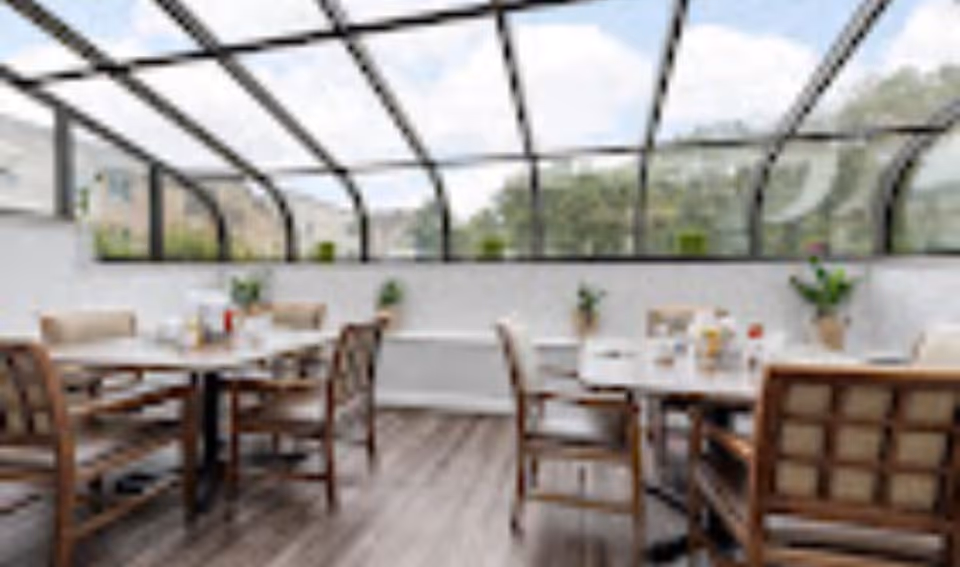 Dining area with wooden chairs and tables set under a glass ceiling with a view of the sky and trees outside. Small plants are placed on the tables and along the wall.