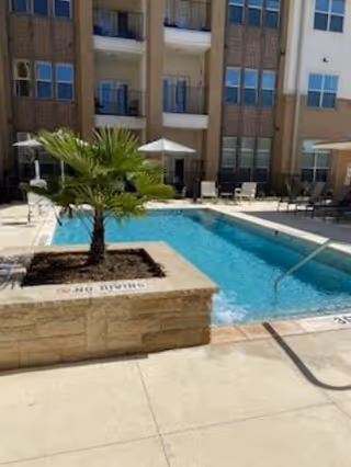 Outdoor courtyard with a small rectangular pool, a planted palm, lounge chairs and umbrellas in front of a multi-story residential building.