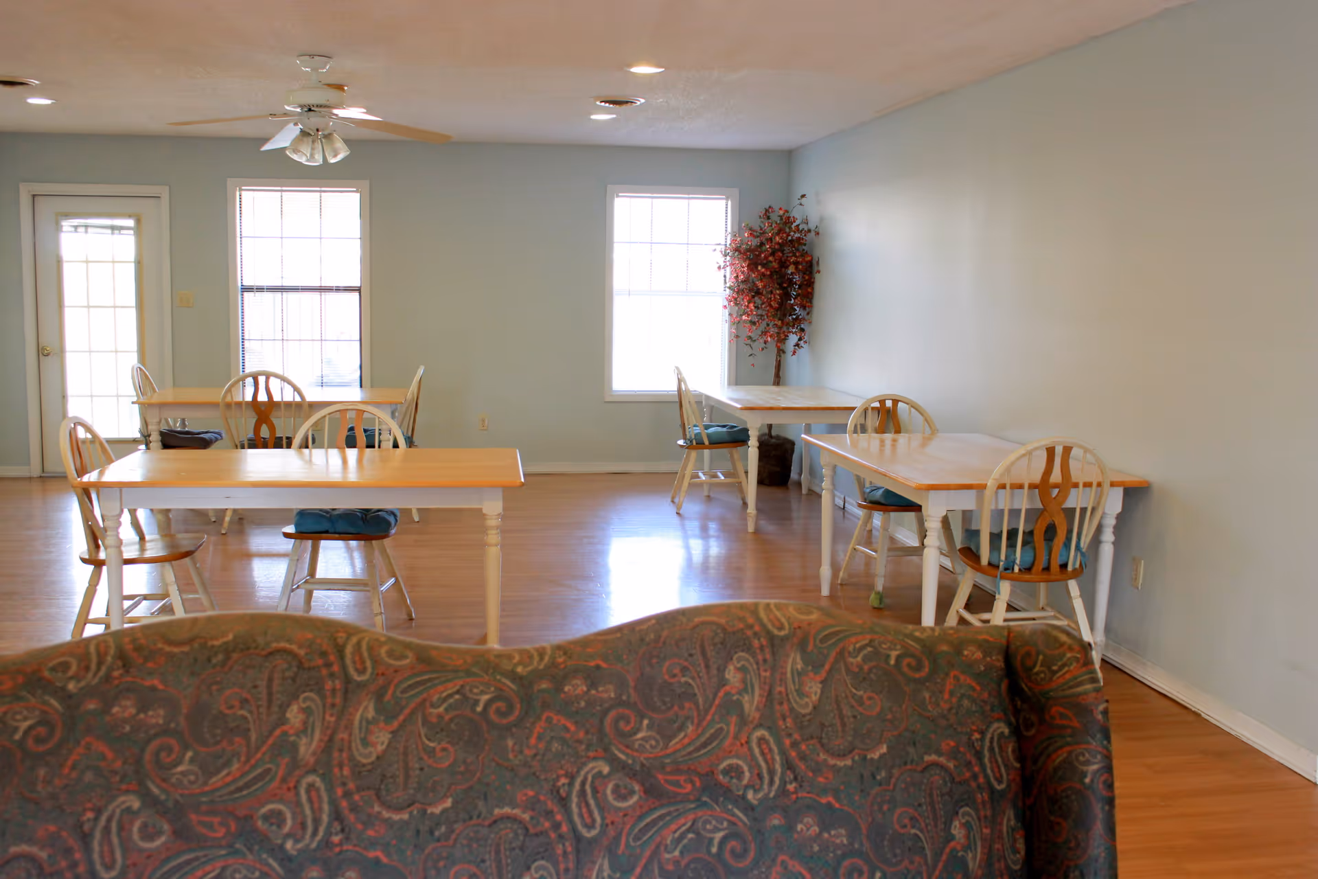 A bright room with light blue walls and wooden flooring featuring several wooden tables with chairs around them. There are two large windows and a door with glass panes letting in natural light. A ceiling fan with lights is mounted on the ceiling, and a decorative potted plant with red leaves is placed in the corner. The foreground shows the back of a patterned sofa.