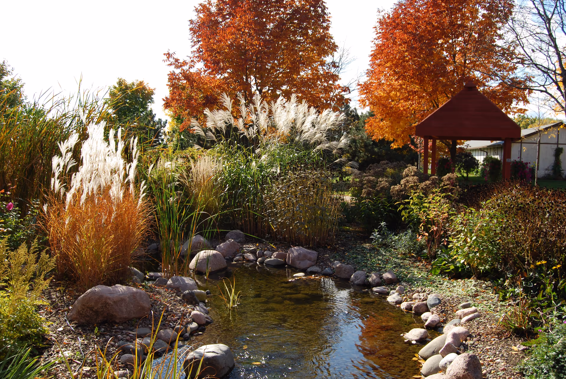 A landscaped outdoor garden with a small pond, ornamental grasses, autumn trees, and a wooden gazebo.