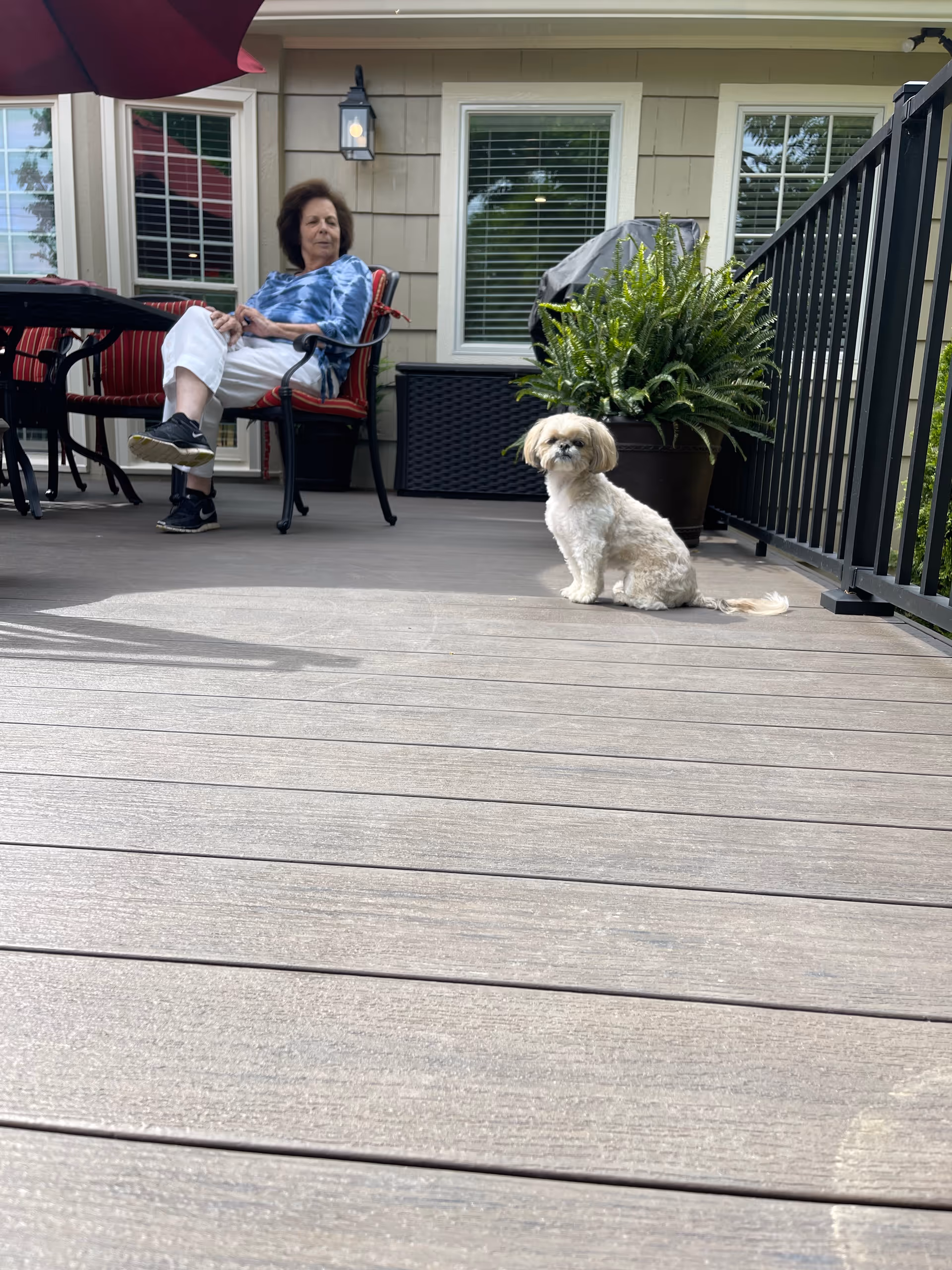 A woman sits on a patio chair while a small dog sits on a wooden deck outside a house with potted plants.