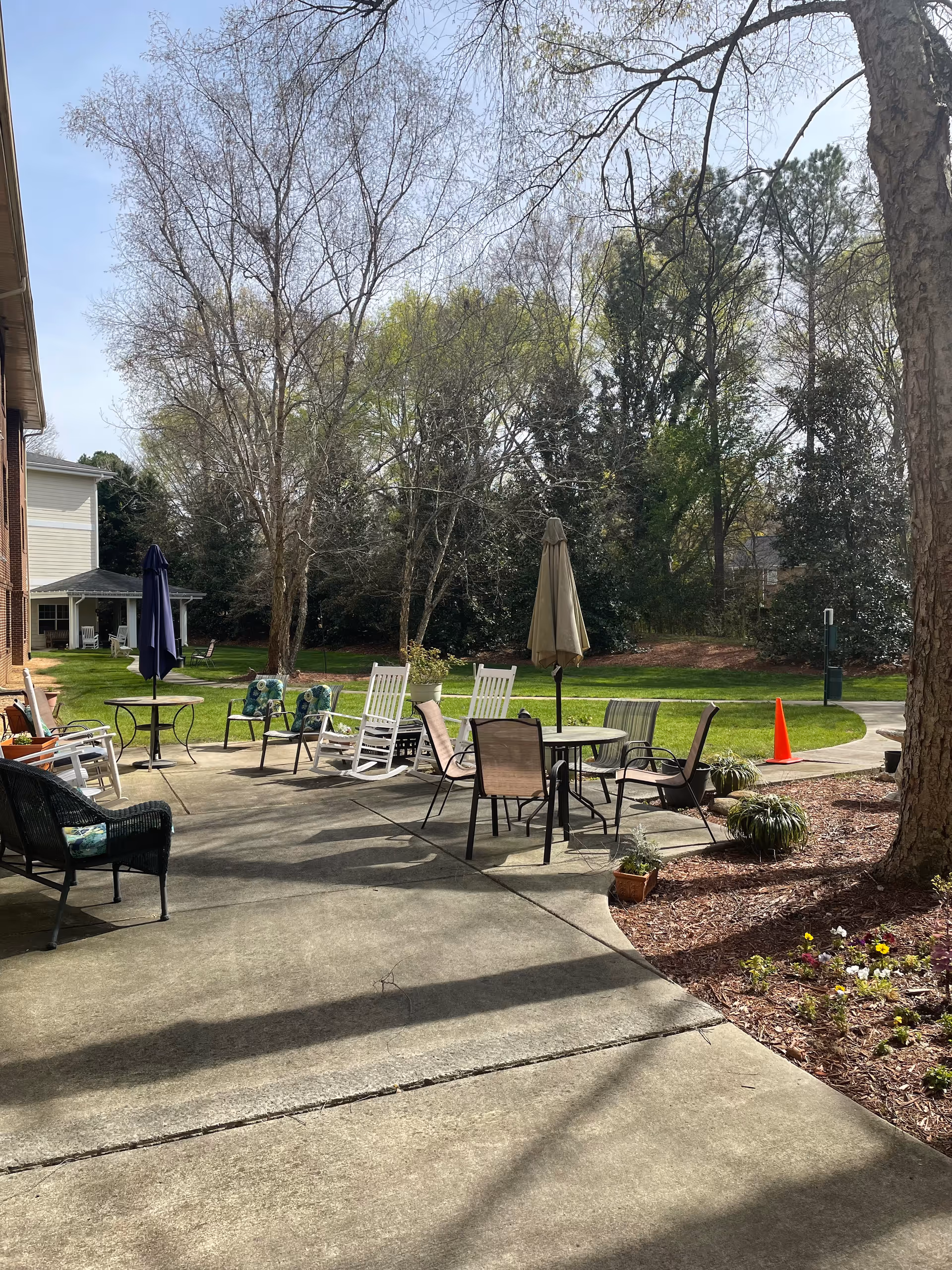 Outdoor patio with chairs, tables, and umbrellas surrounded by trees at Solista Charlotte