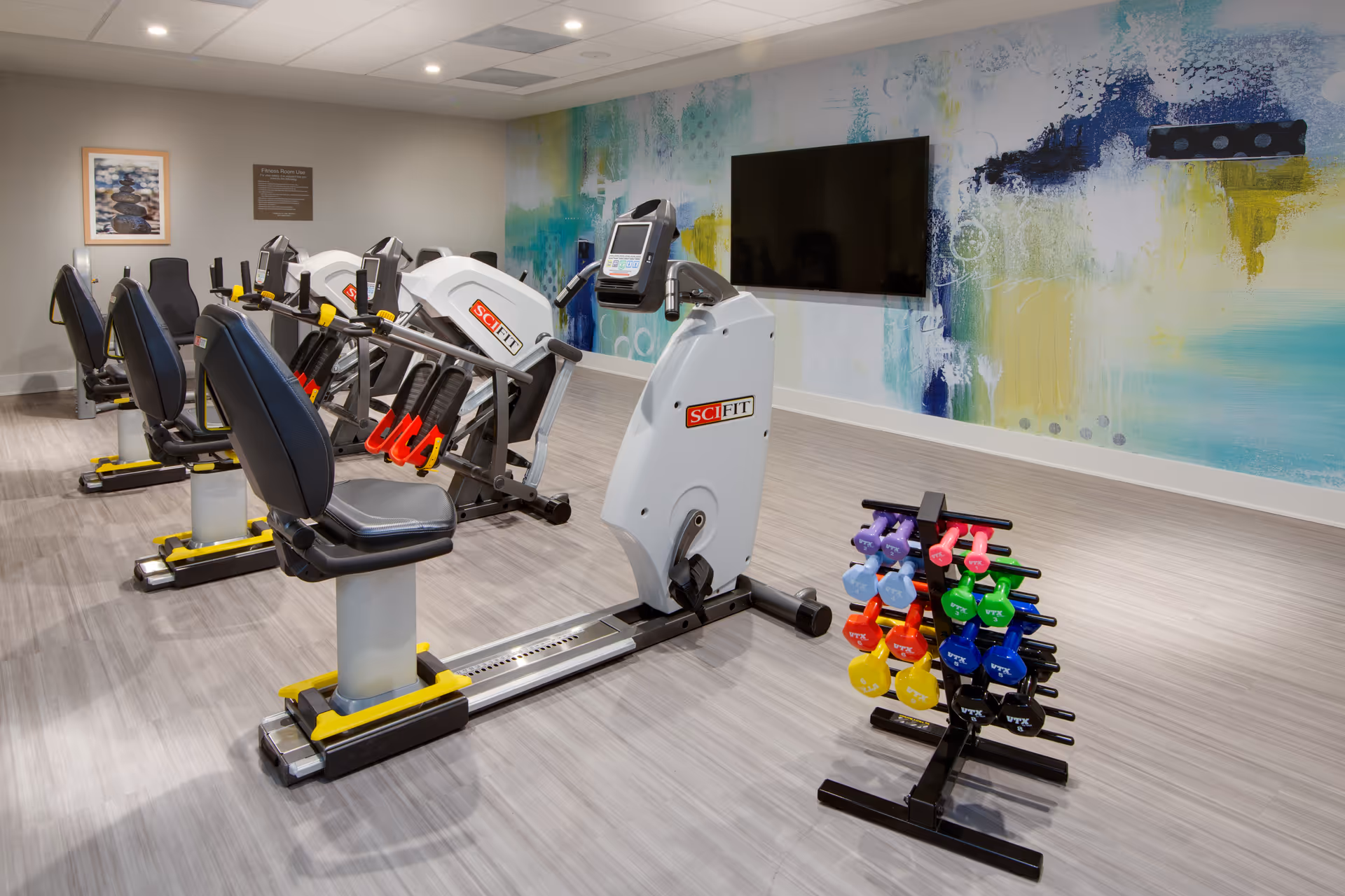 A bright exercise room with recumbent cardio machines, a rack of colorful dumbbells, and a wall-mounted TV in front of an abstract mural.