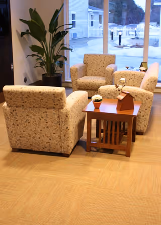 A cozy seating area with four patterned armchairs arranged around a wooden side table holding a small potted plant and a decorative item. A large window in the background shows an outdoor view with snow and buildings. A tall green plant is placed near the window.