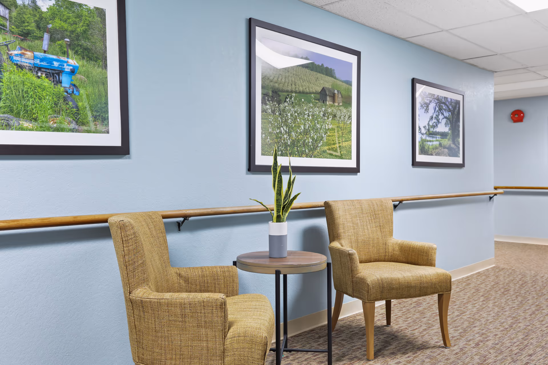 A hallway seating area in Almond Grove Assisted Living with two beige upholstered armchairs and a small round table between them holding a potted snake plant. The walls are painted light blue and decorated with three framed landscape photographs. A wooden handrail runs along the wall, and the floor is carpeted in a patterned design.