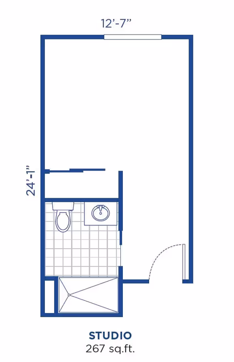 Architectural floor plan of a studio apartment measuring 267 square feet, showing a main living area, a bathroom with a toilet, sink, and shower, and an entry door.