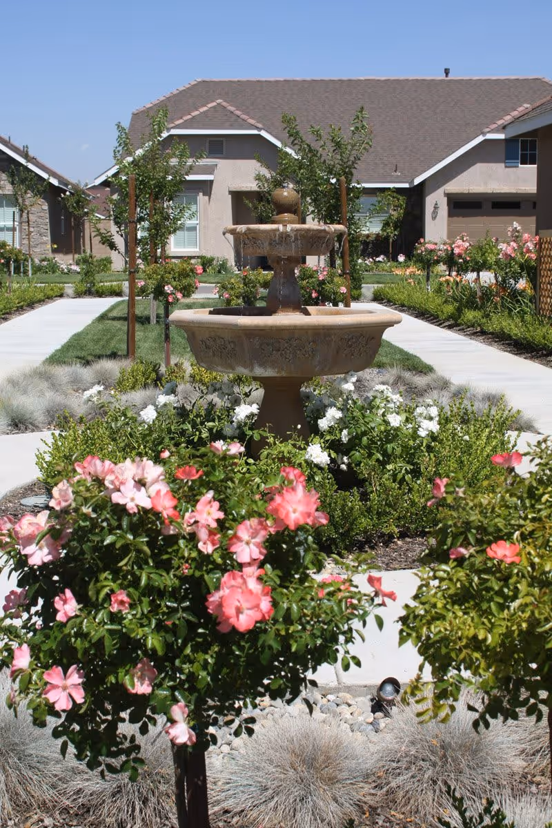 A landscaped garden area with a central stone water fountain surrounded by blooming pink and white flowers. There are paved walkways on either side of the fountain leading to single-story residential buildings with beige walls and brown roofs in the background under a clear blue sky.