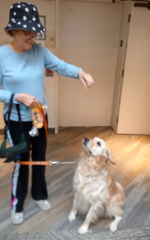An elderly woman wearing a blue long-sleeve shirt, black pants with a pink stripe, white shoes, and a black hat with white polka dots is standing indoors holding a leash and a treat bag, while a golden retriever dog sits attentively looking up at her.