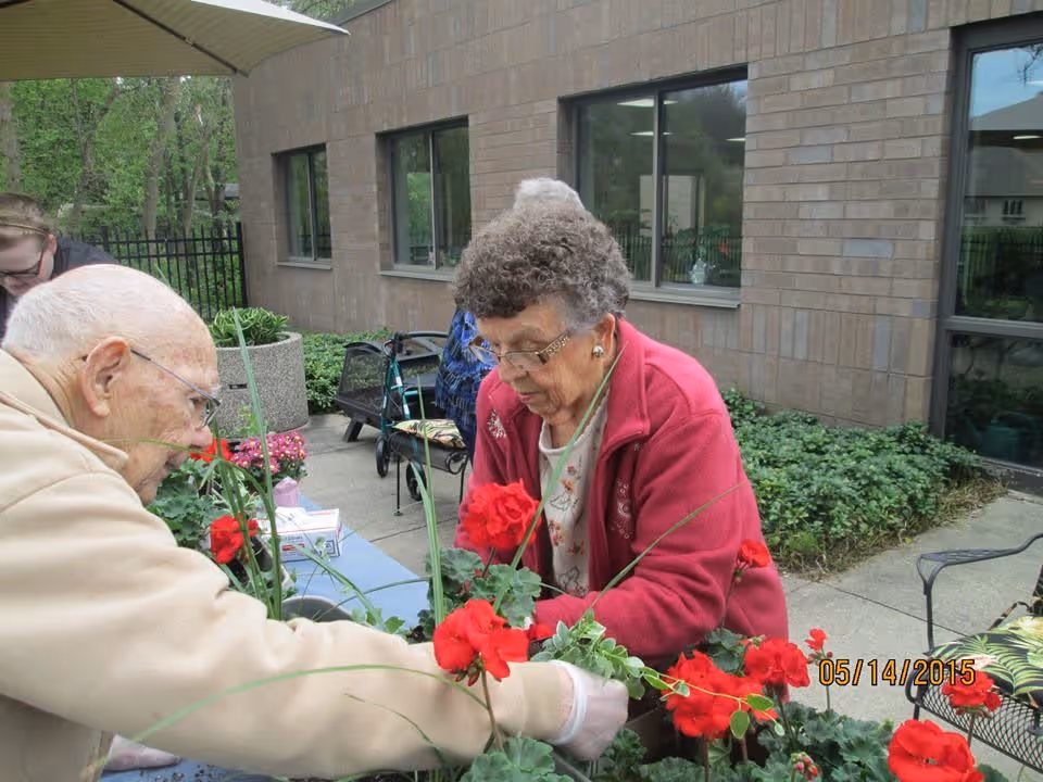 Two elderly individuals tending to red flowering plants on a table outdoors near a brick building with windows. There are green shrubs and patio furniture in the background.