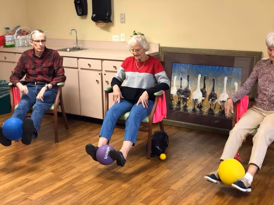 Three elderly individuals seated in chairs in a room with wooden flooring, each holding a colorful exercise ball between their feet. Behind them is a countertop with a sink and cabinets, and a framed picture of geese on the floor leaning against the wall.