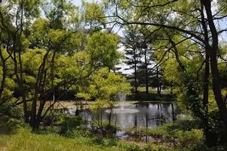 A peaceful outdoor scene featuring a small pond with a water fountain surrounded by green trees and grass under a clear sky.