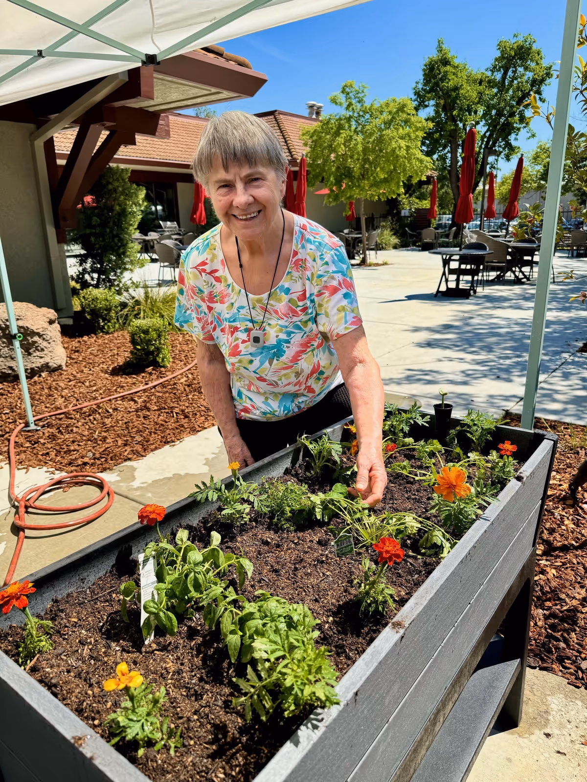 An elderly woman wearing a colorful floral shirt is tending to a raised garden bed filled with small plants and flowers outdoors at a senior living facility. The background shows patio tables with red umbrellas, trees, and a building under a clear blue sky.