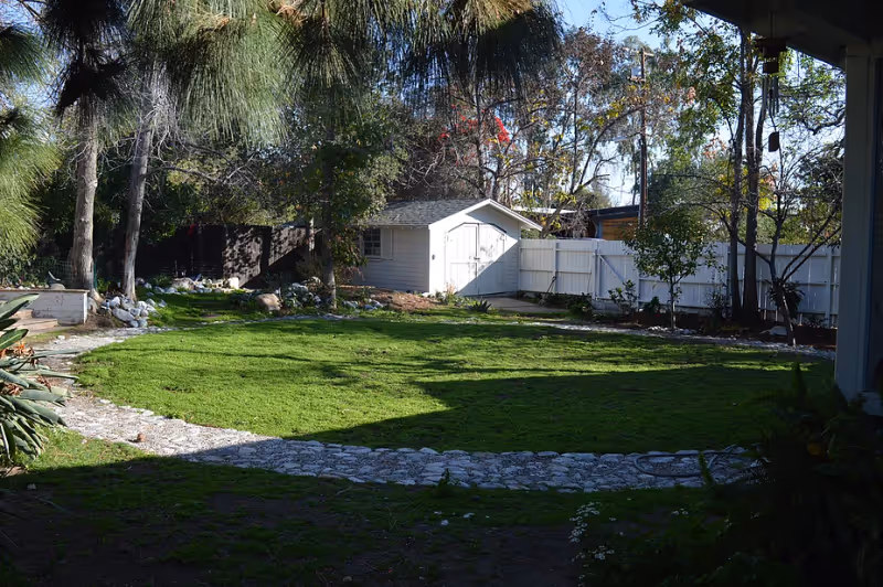 A sunny outdoor garden area with a well-maintained green lawn, a stone pathway curving through the grass, surrounded by trees and plants. In the background, there is a small white shed and a white wooden fence enclosing the area.