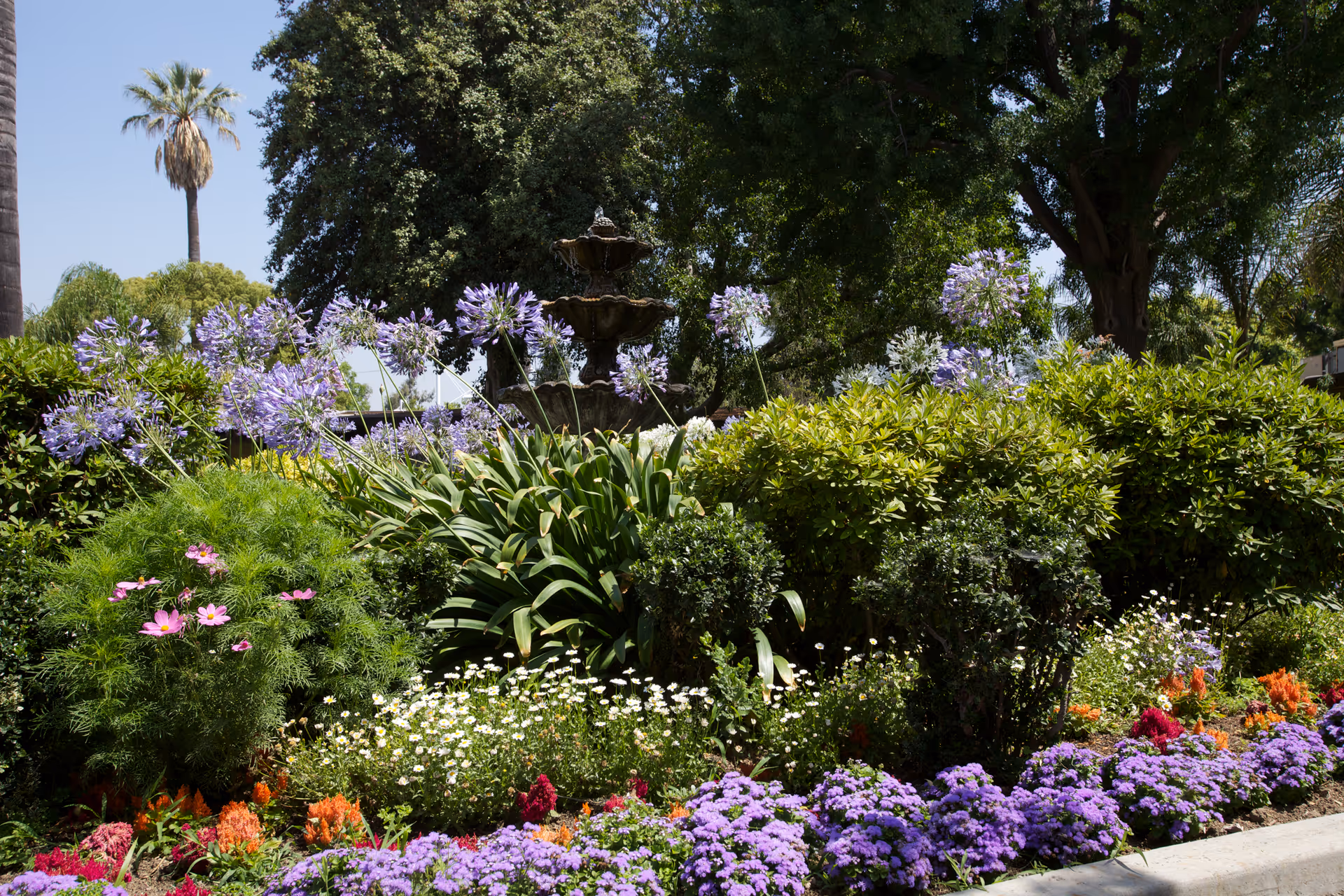 A vibrant garden with a variety of colorful flowers including purple, white, pink, and orange blooms. In the background, there is a multi-tiered stone fountain surrounded by lush green bushes and tall trees under a clear blue sky.