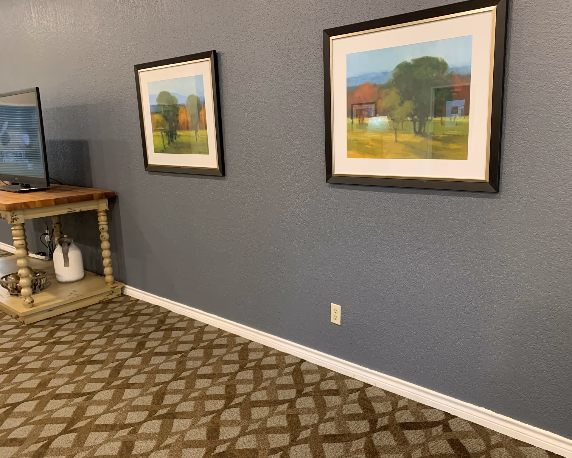 Interior common room wall with two framed landscape paintings, a TV on a small table, and patterned carpet.
