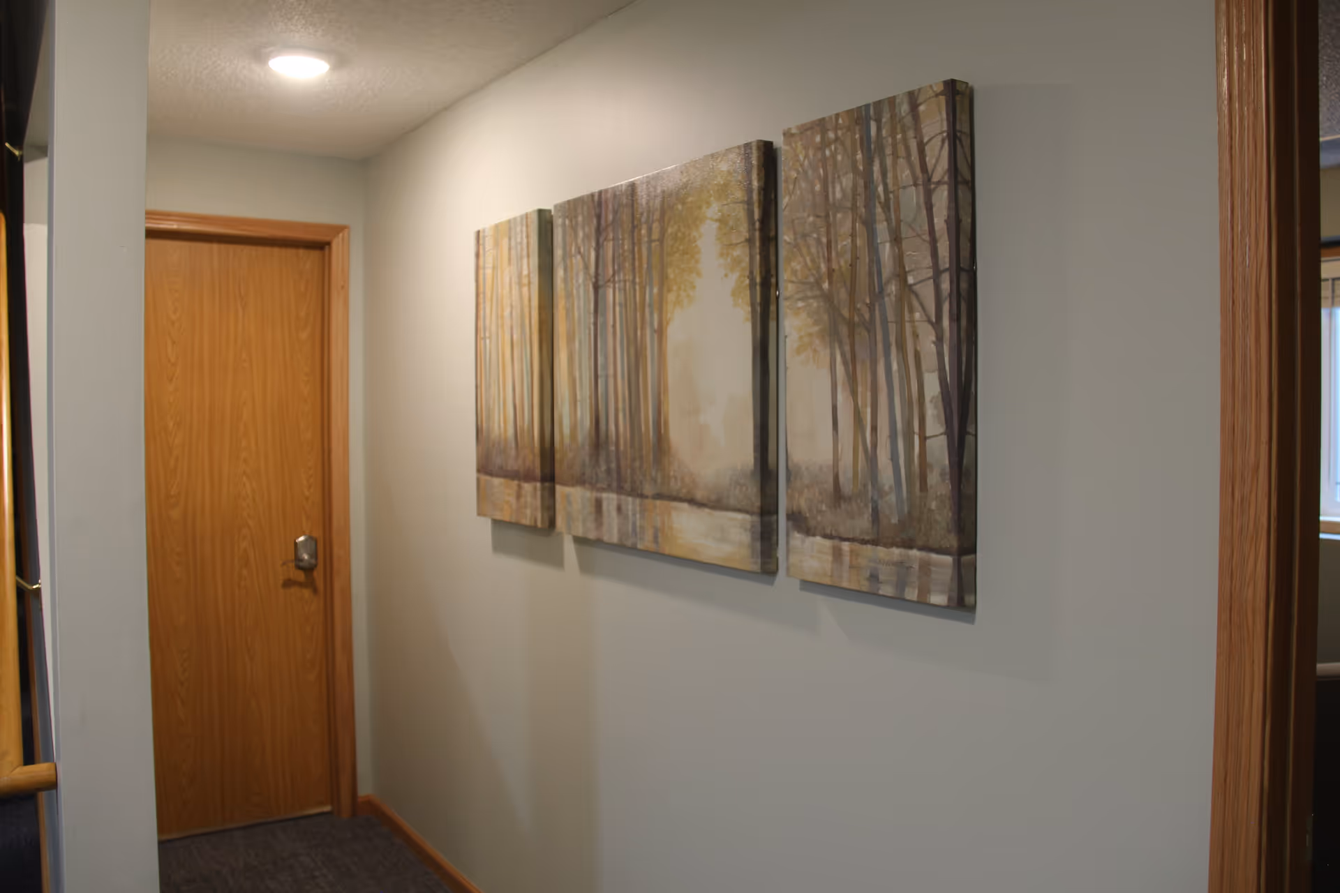 Hallway with a closed wooden door and a three-panel forest landscape artwork hung on a pale wall.