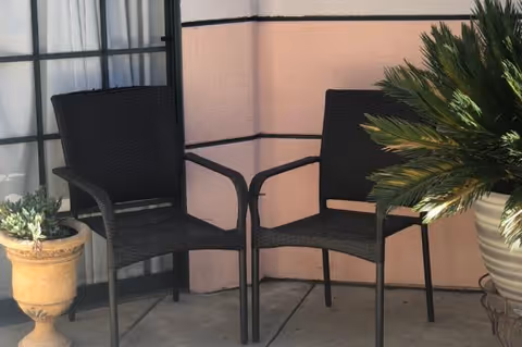 Two black wicker chairs placed side by side on a concrete floor next to a pink wall with a window covered by white curtains. There are two potted plants, one in a beige decorative pot on the left and a larger green leafy plant in a white pot on the right.
