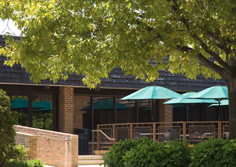 Outdoor patio with green umbrellas, brick building facade and a large leafy tree overhead.