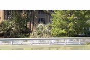 Waterfront view showing a white railing, trees and palms in front of a multi-story building.