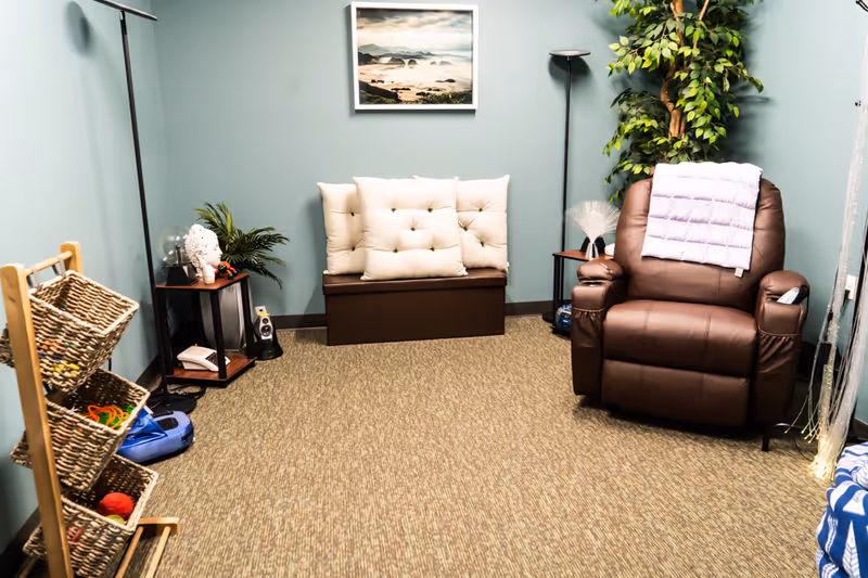 A cozy room with light blue walls and carpeted floor featuring a brown leather recliner with a white blanket draped over the back, a cushioned bench with three white pillows, two small side tables with decorative items including a plant and a lamp, a tall floor lamp, a large artificial plant in the corner, and a wooden rack with three wicker baskets containing various items.