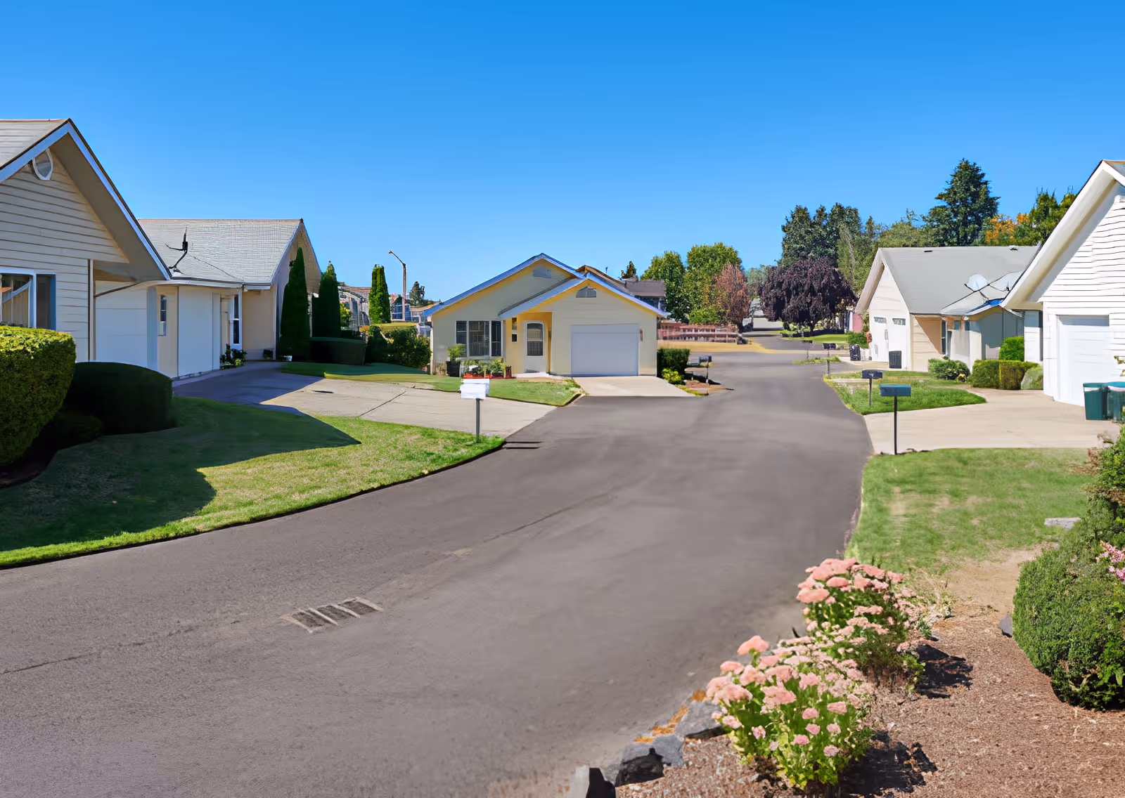 A quiet residential street in a senior living community with single-story houses, well-maintained lawns, bushes, and flower beds under a clear blue sky.