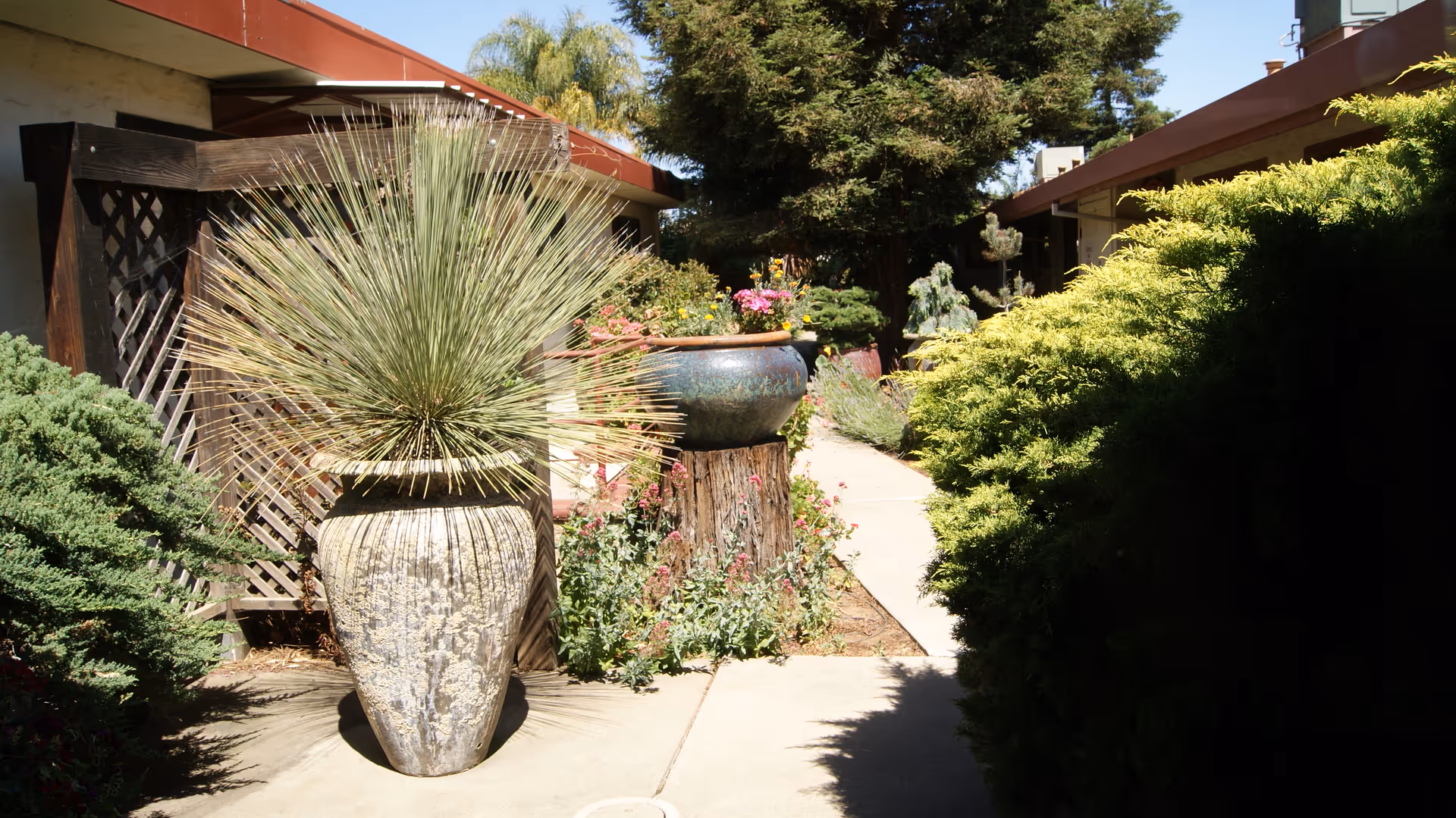 Outdoor walkway at Valley Pines Assisted Living with large decorative plant pots, various green shrubs, and trees lining the path between buildings under a clear blue sky.