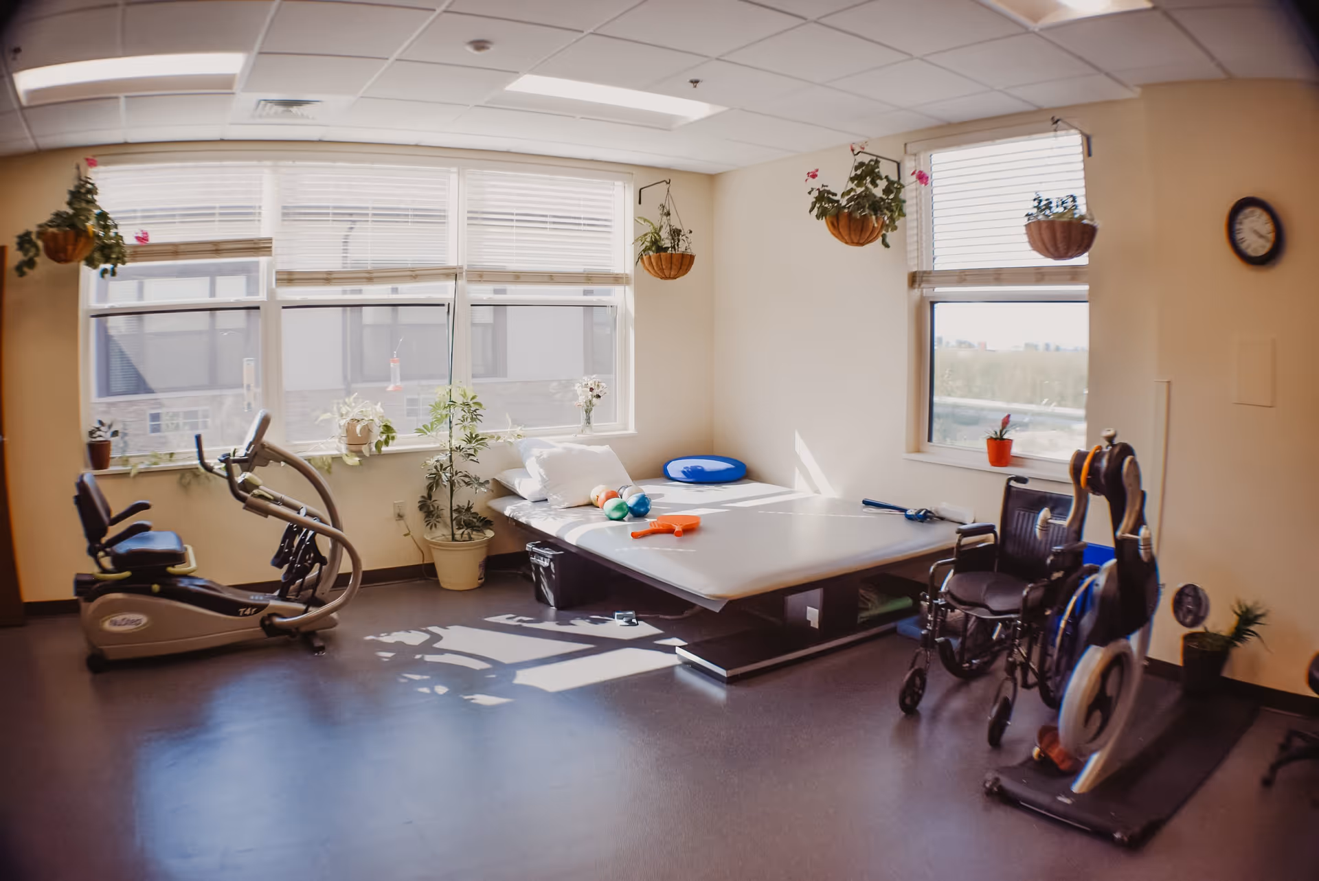 A bright therapy room with large windows letting in natural light. The room contains exercise equipment including a recumbent bike and an arm cycle machine, a therapy bed with colorful therapy balls and a paddle on it, a wheelchair, and several potted and hanging plants. A clock is mounted on the wall.