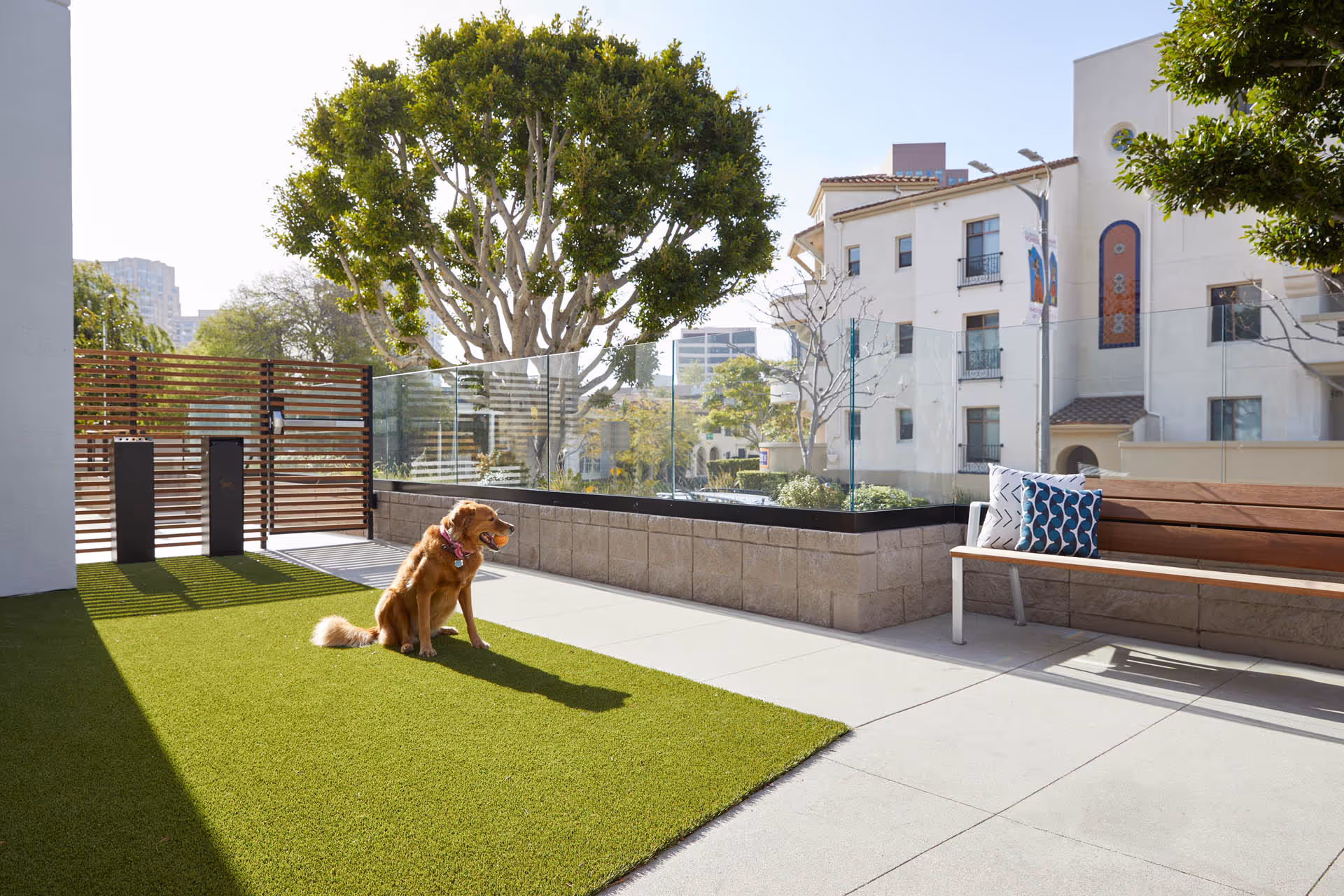 Outdoor patio area with artificial grass where a golden retriever dog is sitting with a ball in its mouth. There is a wooden bench with two decorative pillows on the right side and a glass fence with a view of nearby buildings and trees in the background.