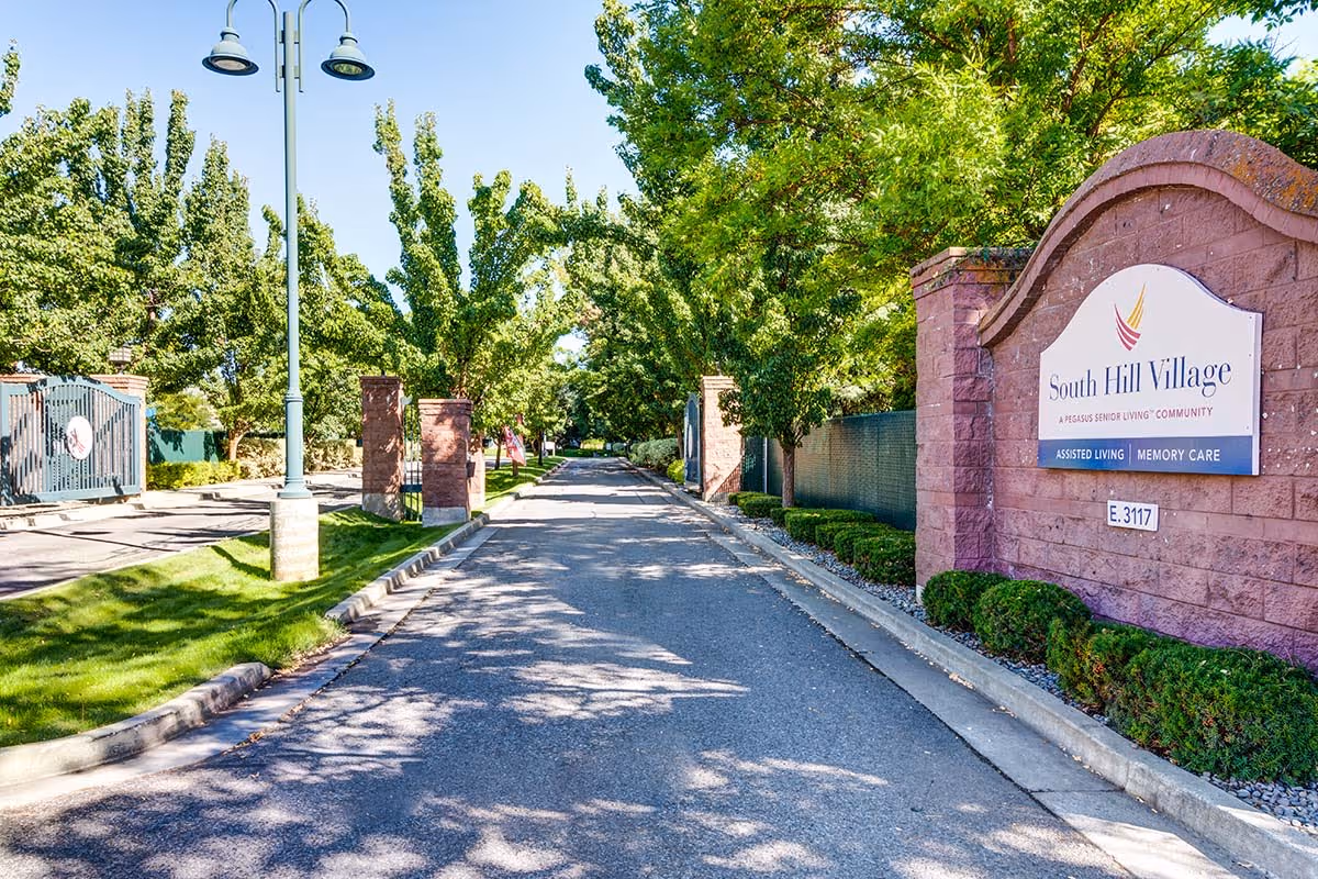 Tree-lined driveway and gated entrance with a brick sign reading 'South Hill Village' at the community entrance.