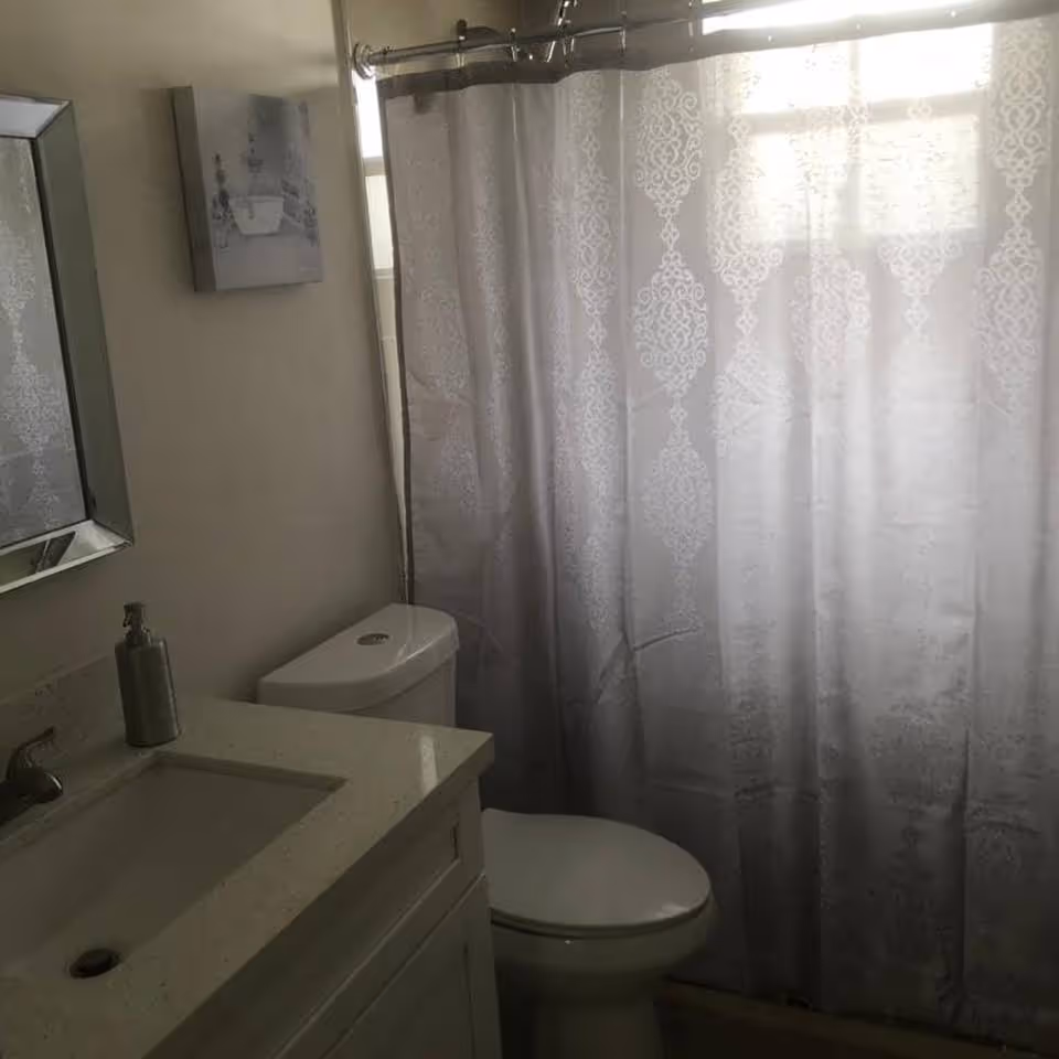 A small bathroom with a white toilet, a white vanity with a sink and a soap dispenser, a mirror on the wall, and a shower with a patterned white curtain partially covering a window.