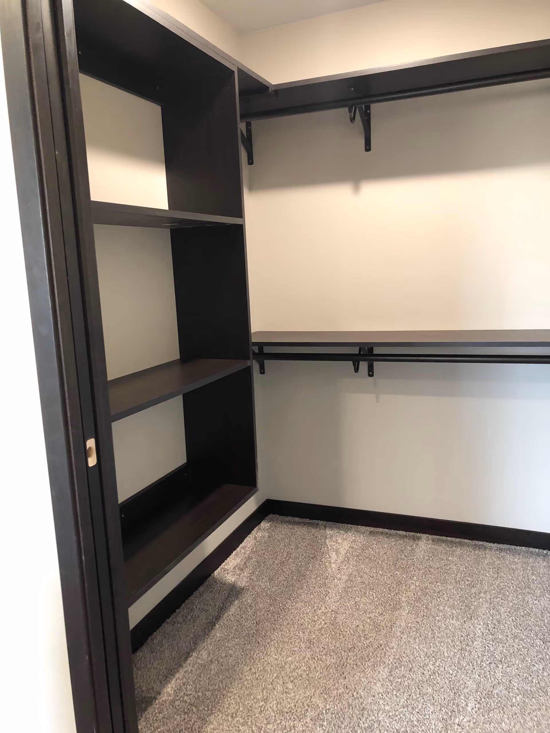 Empty walk-in closet with dark wood shelves and hanging rods, light-colored walls, and carpeted floor.