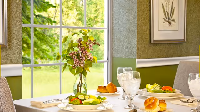 A dining table set with plates of fresh salad, bread rolls, and glasses of water in a room with green walls and a large window showing a green outdoor view. A vase with flowers is placed in the center of the table.