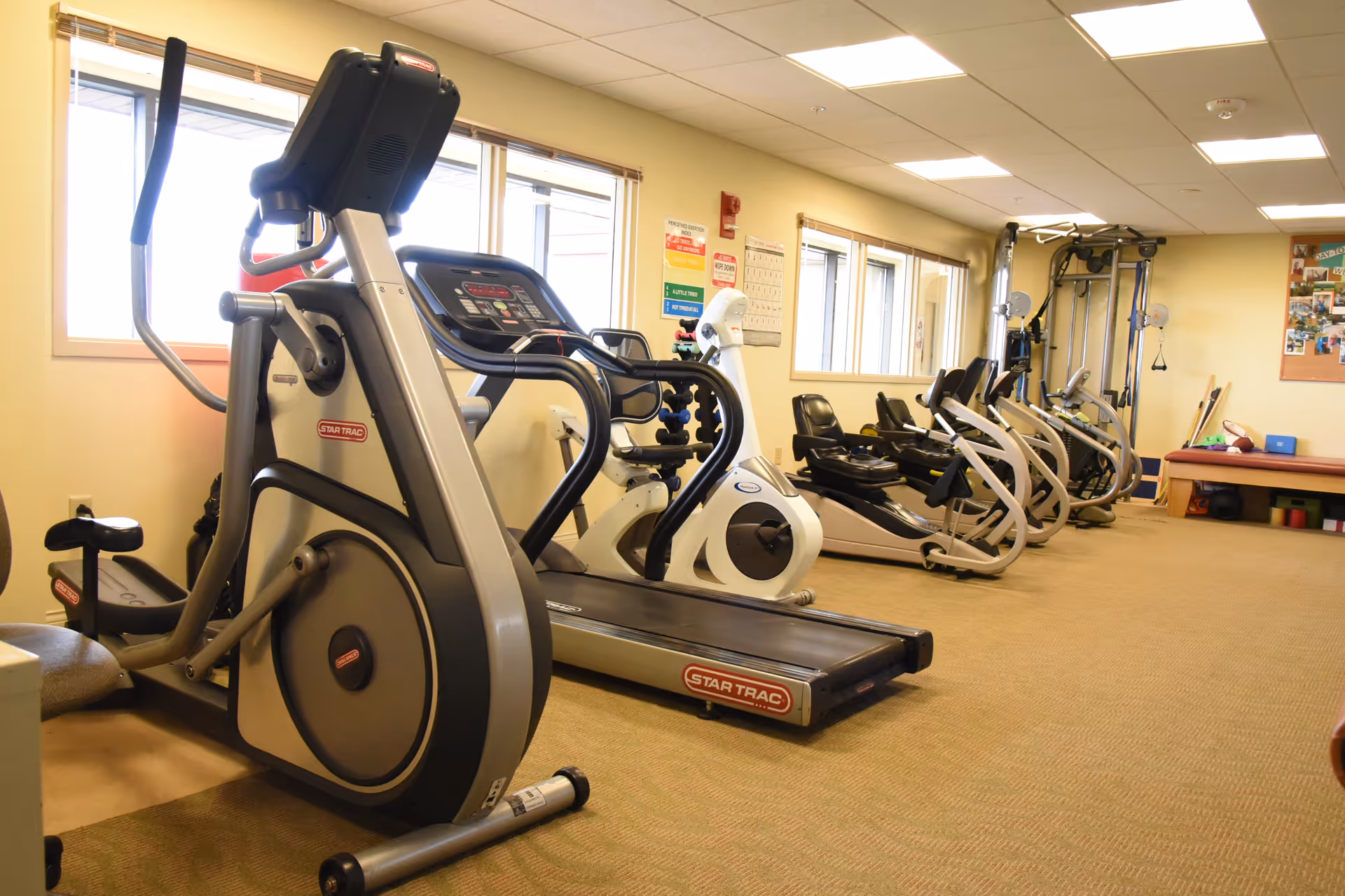 Indoor fitness room with various exercise equipment including treadmills, stationary bikes, elliptical machines, and a multi-function weight machine. The room has beige carpet, cream-colored walls, and several windows letting in natural light.