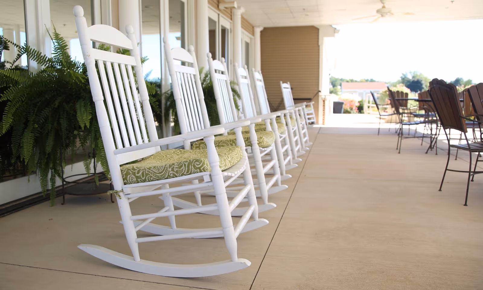 A row of white wooden rocking chairs with green patterned cushions lined up on a covered outdoor patio. There are large green ferns behind the chairs and additional metal and wooden chairs and tables further down the patio. The area is bright and sunny with a view of greenery and buildings in the distance.