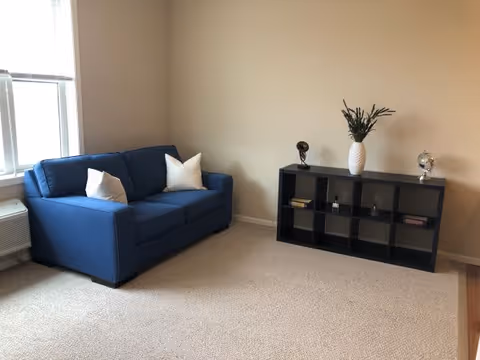 A small living room with a blue couch with two white pillows, a black cubical shelf unit with decorative items including a white vase with greenery, a small globe, and books, beige carpet, and a window with white blinds.