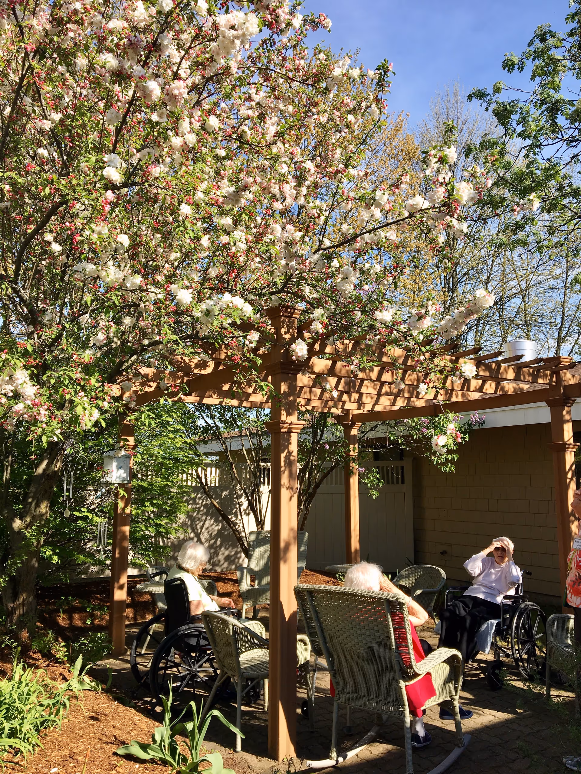 A shaded outdoor seating area under a wooden pergola with blooming white and pink flowers overhead. Several elderly individuals, some in wheelchairs, are sitting and relaxing in wicker chairs surrounded by greenery and trees on a sunny day.