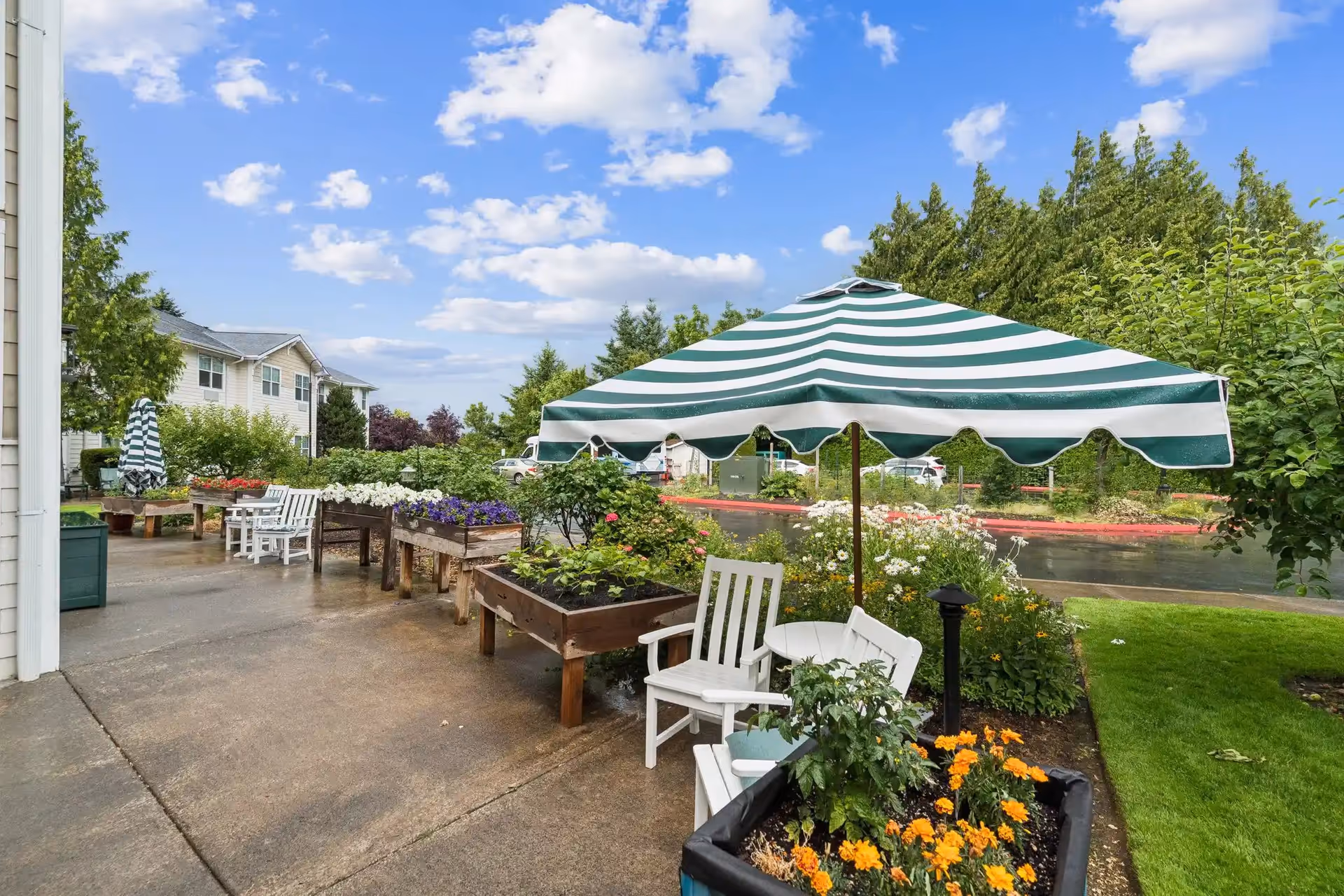 Outdoor patio area at Clearwater Springs by Cogir featuring raised garden beds with flowers and plants, white wooden chairs, and a green and white striped umbrella. The scene includes a paved walkway, green grass, trees, and a partly cloudy blue sky.