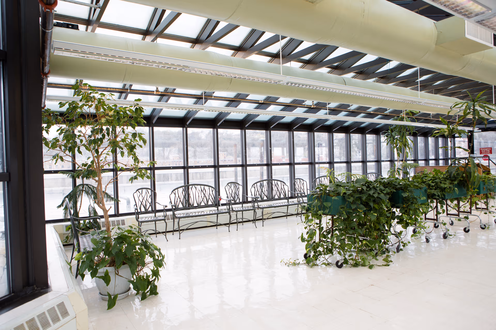Bright indoor seating area with large windows and a glass ceiling, featuring metal chairs lined up against the windows and several green plants in pots and planters on wheels.