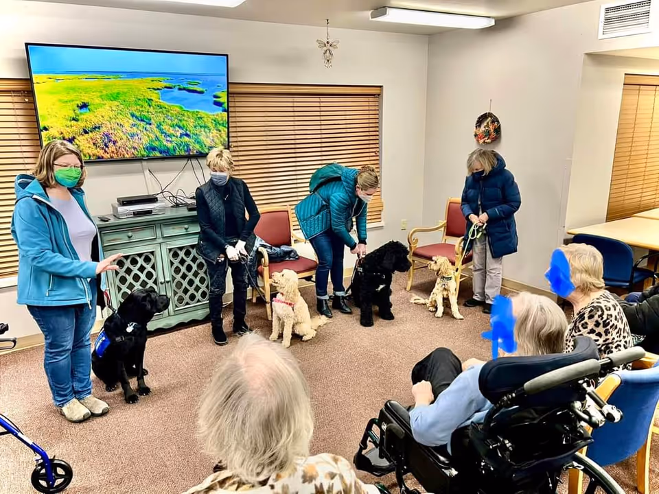A group of people in a senior living facility room with beige carpet and wooden blinds. Three women wearing masks are standing and holding leashes with four dogs of various breeds. Several elderly residents are seated, some in wheelchairs, watching the interaction. A large flat-screen TV displaying a nature scene is mounted on the wall above a green cabinet.