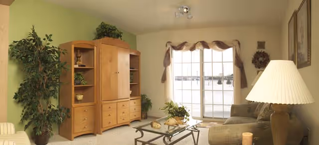 Living room with a wooden entertainment cabinet, green sofa, glass coffee table, floor lamp, potted plants, and sliding glass doors.