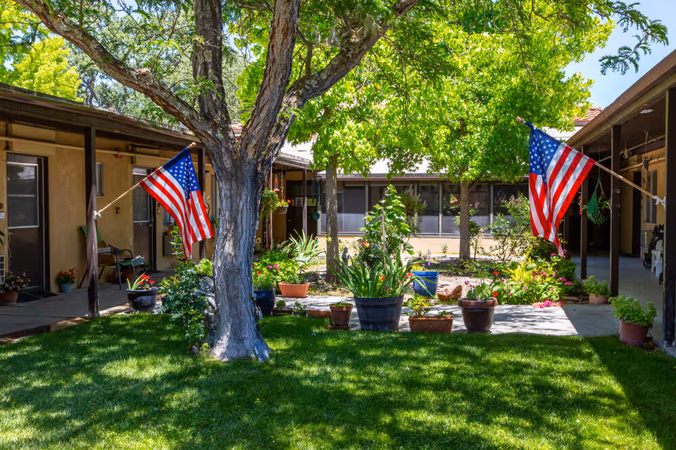 A sunny courtyard at Oakview Village Independent Senior Living featuring a large tree in the center surrounded by green grass and various potted plants. Two American flags are displayed on either side of the courtyard attached to the building. The buildings have covered walkways and windows facing the courtyard.