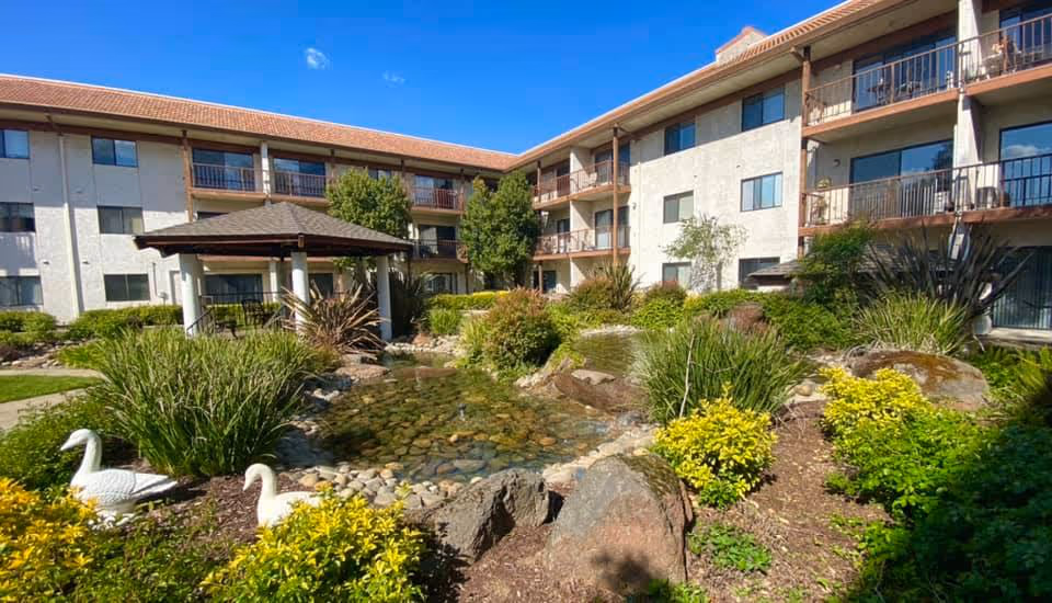 Outdoor courtyard of Roseville Commons Senior Living featuring a small pond with clear water and rocks, surrounded by green shrubs, plants, and two white swan statues. A gazebo with a shingled roof is visible near the pond, and a three-story building with balconies and windows surrounds the courtyard under a clear blue sky.