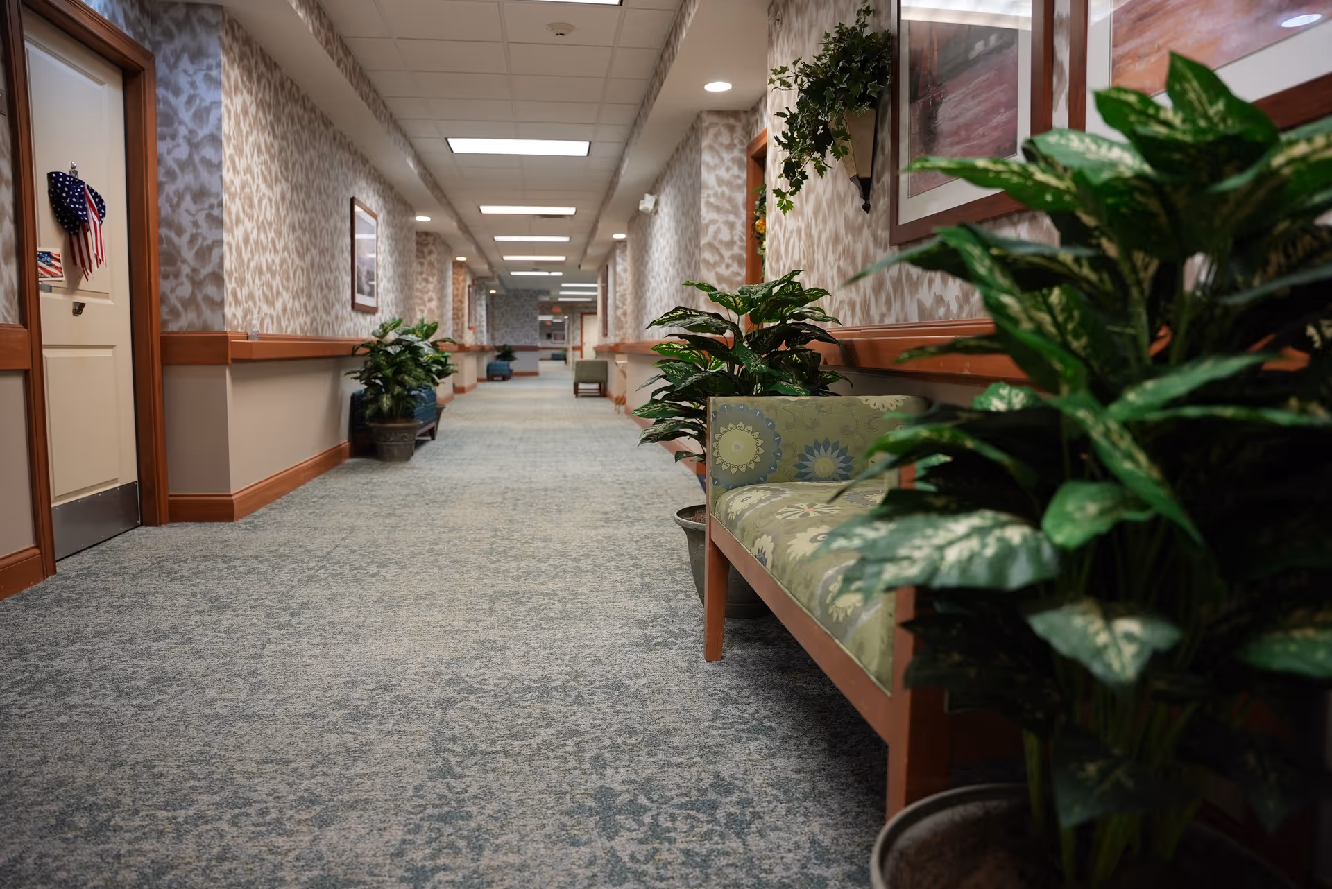 Carpeted assisted-living hallway with benches, potted plants, and doors along the walls.