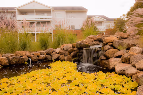 A serene outdoor scene at Brandon Oaks Life Plan Community featuring a small waterfall flowing over rocks into a pond filled with yellow water lilies. Tall grasses and plants surround the pond, with a two-story building visible in the background under a cloudy sky.