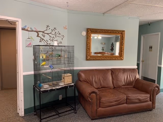 A cozy interior room with a brown leather couch against a light green wall. Above the couch is a large ornate gold-framed mirror reflecting part of the room. To the left of the couch is a birdcage on a black metal stand containing colorful birds. The wall behind the birdcage has a decorative decal of a tree branch with birds and a birdcage. There are two doorways visible, one on the left and one on the right side of the image.