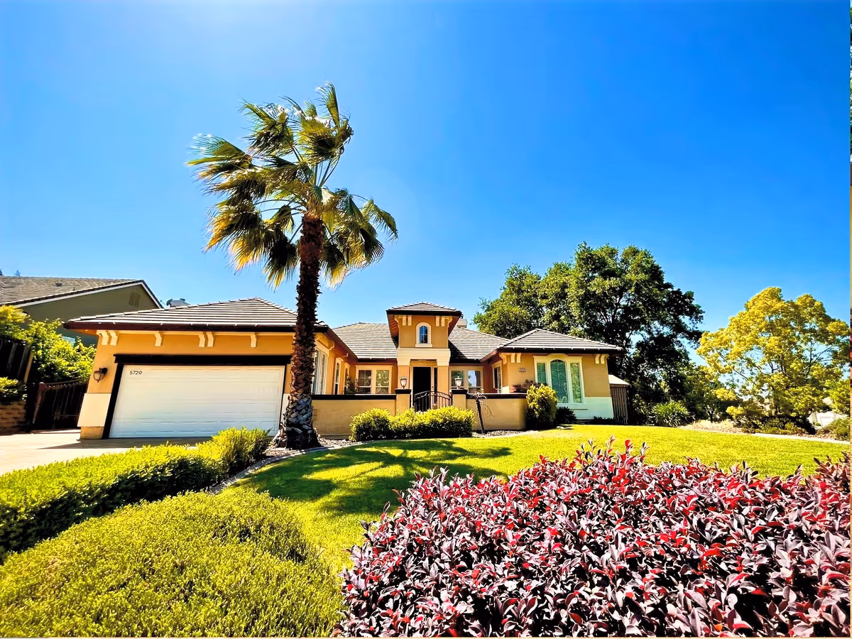 Sunny single-story house with a tall palm tree, green lawn, and colorful shrubs in the front yard.